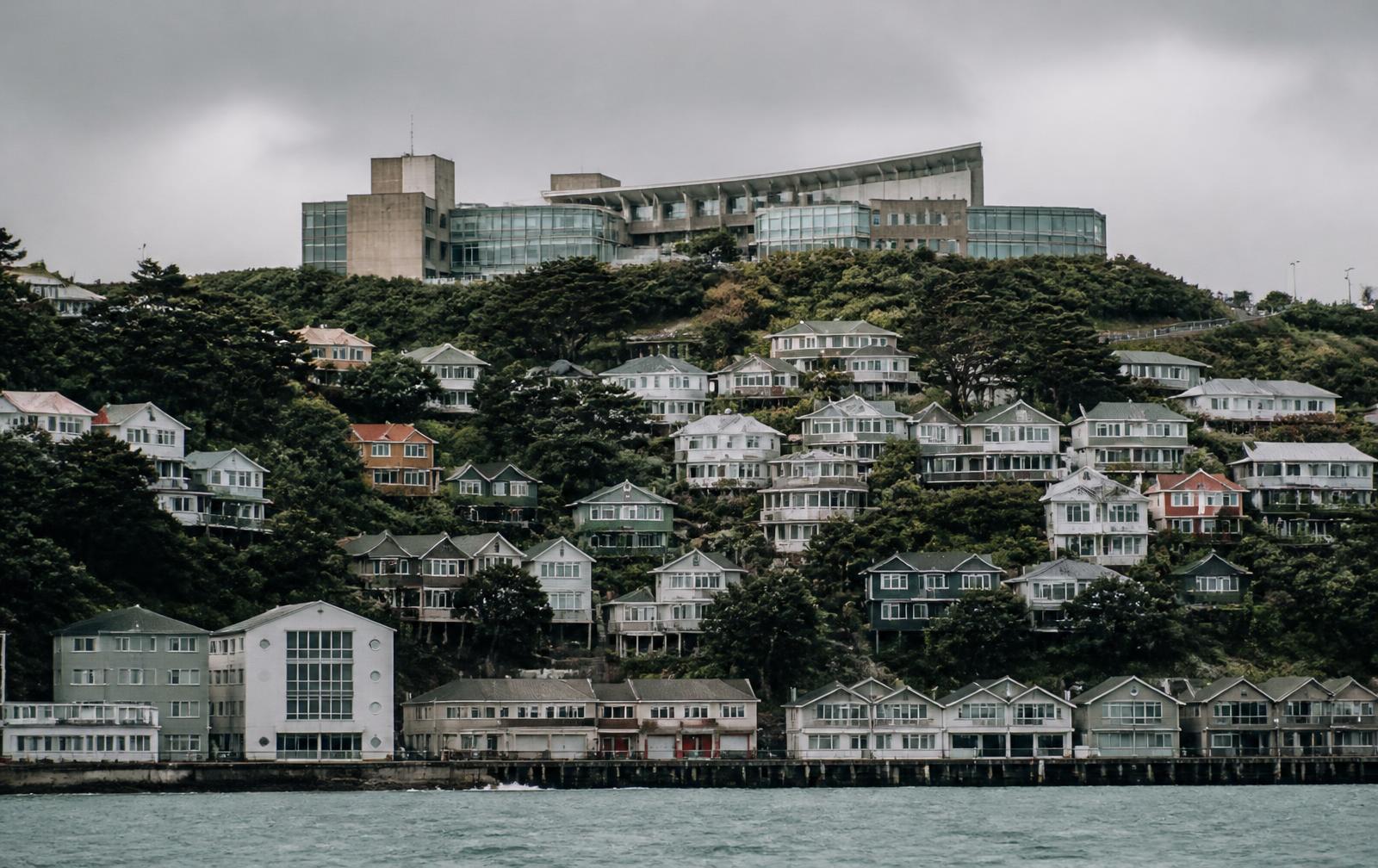 Wellington's terraced weatherboard houses climbing the hillside above the harbour, university buildings on the ridge